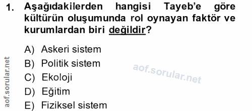 1. soru: Aşağıdakilerden hangisi Tayeb'e göre kültürün oluşumunda rol oynayan faktör ve kurumlardan biri değildir? A) Askeri s…
