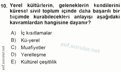 10. soru: Yerel kültürlerin, geleneklerin kendilerini küresel sivil toplum içinde daha başarılı bir biçimde kurabilecekleri anl…