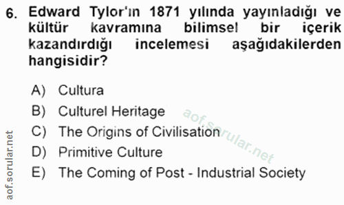6. soru: Edward Tylor'ın 1871 yılında yayınladığı ve kültür kavramina bilimsel bir içerik kazandırdığı incelemesi aşağıdakiler…