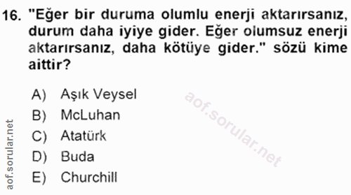 16. soru: "Eğer bir duruma olumlu enerji aktarırsanız, durum daha iyiye gider. Eğer olumsuz enerji aktarırsanız, daha kötüye gi…