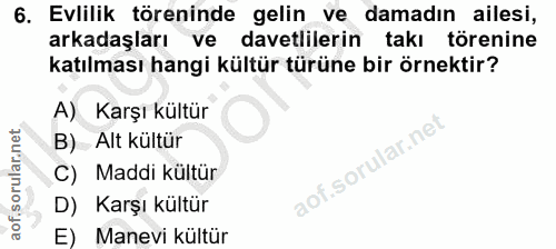6. soru: Evlilik töreninde gelin ve damadın ailesi, arkadaşları ve davetlilerin takı törenine katılması hangi kültür türüne bi…