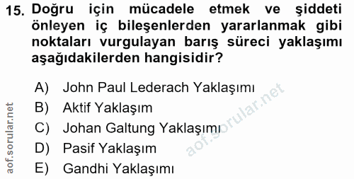 15. soru: Doğru için mücadele etmek ve şiddeti önleyen iç bileşenlerden yararlanmak gibi noktaları vurgulayan barış süreci yakl…