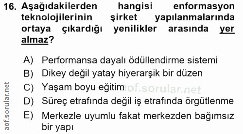 16. soru: Aşağıdakilerden hangisi enformasyon teknolojilerinin şirket yapılanmalarında ortaya çıkardığı yenilikler arasında yer…