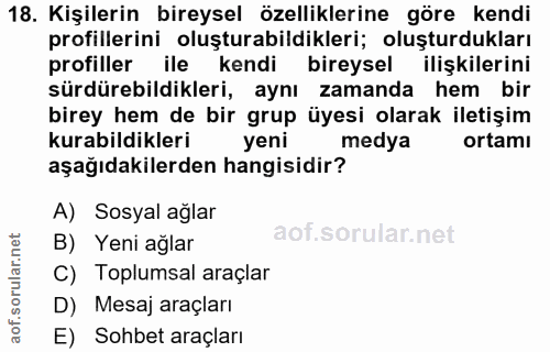 18. soru: Kişilerin bireysel özelliklerine göre kendi profillerini oluşturabildikleri; oluşturdukları profiller ile kendi birey…