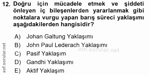 12. soru: Doğru için mücadele etmek ve şiddeti önleyen iç bileşenlerden yararlanmak gibi noktalara vurgu yapan barış süreci yak…