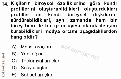 14. soru: Kişilerin bireysel özelliklerine göre kendi profillerini oluşturabildikleri; oluşturdukları profiller ile kendi birey…