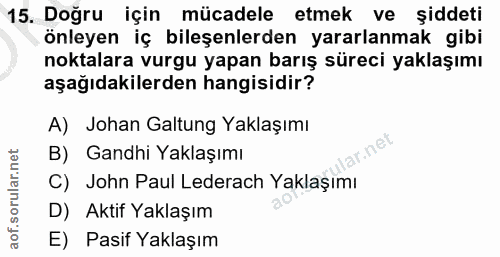 15. soru: Doğru için mücadele etmek ve şiddeti önleyen iç bileşenlerden yararlanmak gibi noktalara vurgu yapan barış süreci yak…