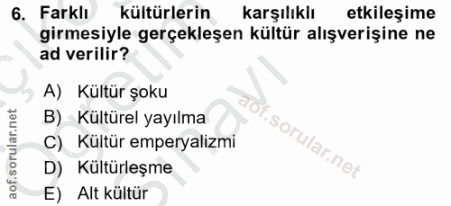 6. soru: Farklı kültürlerin karşılıklı etkileşime girmesiyle gerçekleşen kültür alışverişine ne ad verilir? A) Kültür şoku B)_…