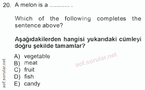 20. soru: A melon is a Which of the following completes the sentence above? Aşağıdakilerden hangisi yukarıdaki cümleyi doğru şe…