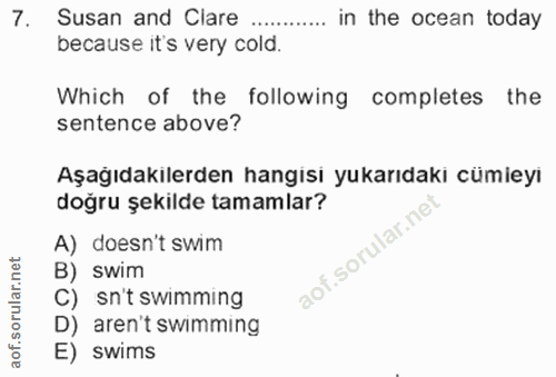 7. soru: Susan and Clare .... ... in the ocean today because it's very cold. Which of the following completes the sentence abo…