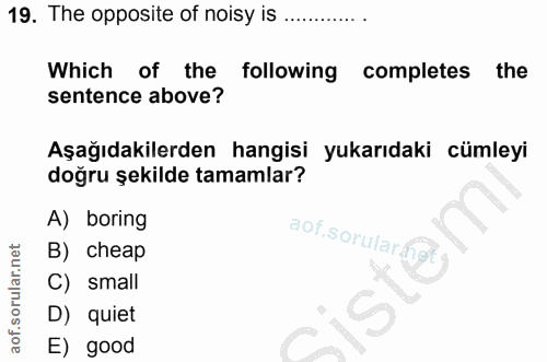 19. soru: The opposite of noisy is ........... Which of the following completes the sentence above? Aşağıdakilerden hangisi yuk…