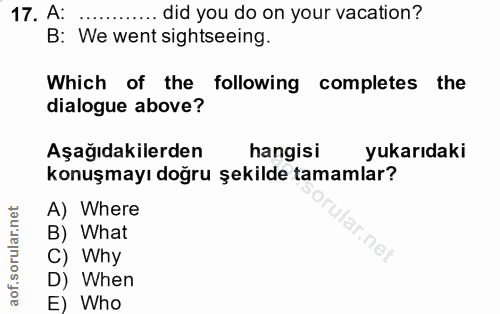 17. soru: A: ..... did you do on your vacation? B: We went sightseeing. Which of the following completes the dialogue above? Aş…