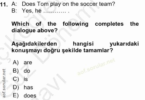 11. soru: A: Does Tom play on the soccer team? B: Yes, he . Which of the following completes the dialogue above? Aşağıdakilerde…