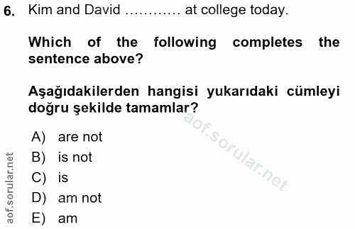 6. soru: Kim and David ........ at college today. Which of the following completes the sentence above? Aşağıdakilerden hangisi…