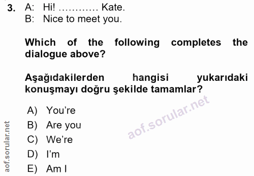 3. soru: A: Hi! ... . Kate. B: Nice to meet you. Which of the following completes the dialogue above? Aşağıdakilerden hangisi…