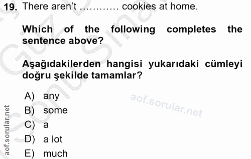 19. soru: There aren't cookies at home. Which of the following completes the sentence above? Aşağıdakilerden hangisi yukarıdaki…