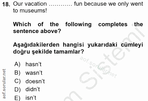 18. soru: Our vacation . fun because we only went to museums! Which of the following completes the sentence above? Aşağıdakiler…