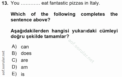 13. soru: You ............ eat fantastic pizzas in Italy. Which of the following completes the sentence above? Aşağıdakilerden…