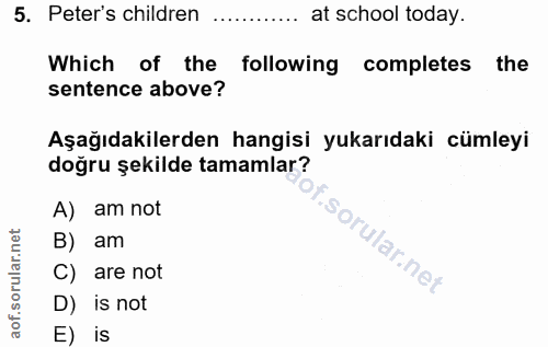 5. soru: Peter's children at school today. Which of the following completes the sentence above? Aşağıdakilerden hangisi yukarı…