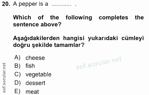 20. soru: A pepper is a Which of the following completes the sentence above? Aşağıdakilerden hangisi yukarıdaki cümleyi doğru ş…
