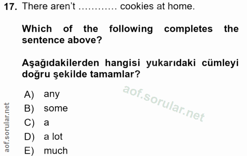 17. soru: There aren't ..... cookies at home. Which of the following completes the sentence above? Aşağıdakilerden hangisi yuka…