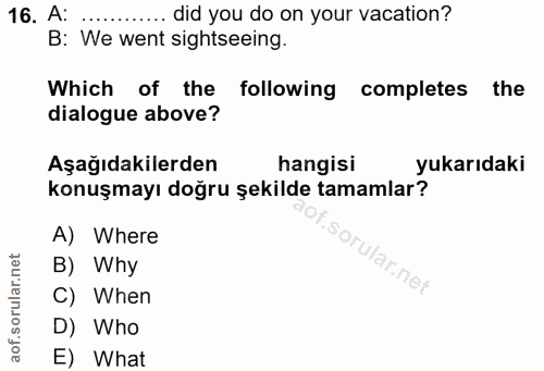 16. soru: A: .......... did you do on your vacation? B: We went sightseeing. Which of the , following completes the dialogue ab…