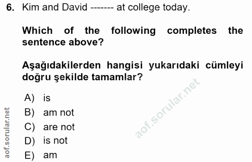 6. soru: Kim and David -- at college today. Which of the following completes the sentence above? Aşağıdakilerden hangisi yukar…
