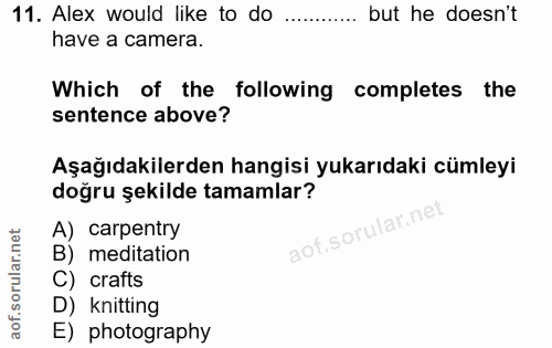 11. soru: Alex would like to do ......... but he doesn't have a camera. Which of the following completes the sentence above? Aş…