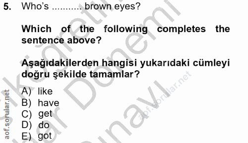 5. soru: Who's brown eyes? Which of the following completes the sentence above? Aşağıdakilerden hangisi yukarıdaki cümleyi doğ…