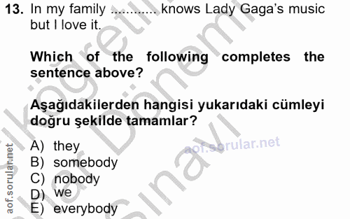 13. soru: In my family: knows Lady Gaga's music but I love it. Which of the following completes the sentence above? Aşağıdakile…