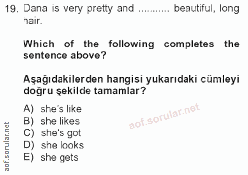 19. soru: Dana is very pretty and ........... beautiful, long nair. Which of the following completes the sentence above? Aşağıd…