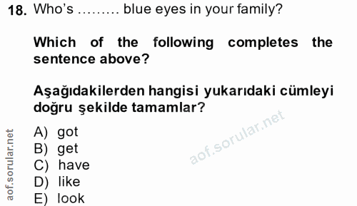 18. soru: Who's ........ blue eyes in your family? Which of the following completes the sentence above? Aşağıdakilerden hangisi…