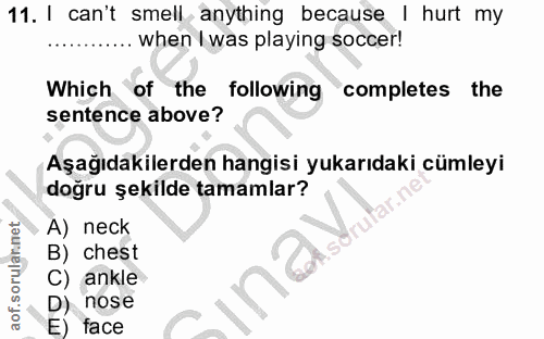 11. soru: cant smell anything because hurt my ... when I was playing soccer! Which of the following completes the sentence abov…
