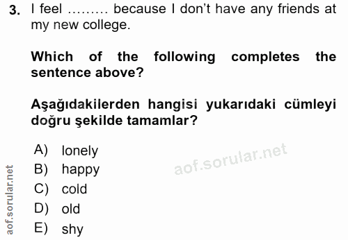 3. soru: I feel ........ because I don't have any friends at my new college. Which of the following completes the sentence abo…
