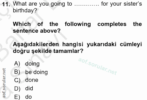 11. soru: What are you going to for your sister's birthday? Which of the following completes the sentence above? Aşağıdakilerde…