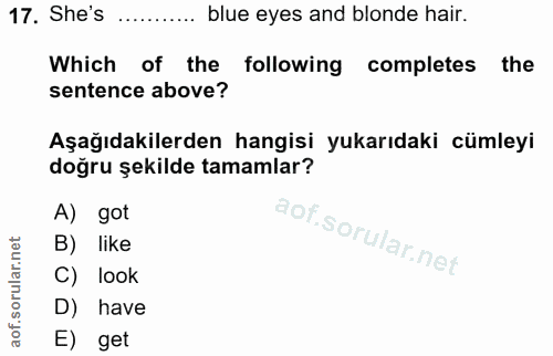 17. soru: She's blue eyes and blonde hair. Which of the following completes the sentence above? Aşağıdakilerden hangisi yukarıd…