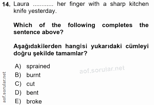 14. soru: Laura ..... her finger with a sharp kitchen knife yesterday. Which of the following completes : the sentence above? A…