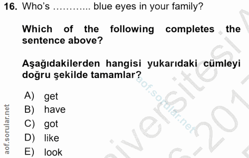 16. soru: Who's blue eyes in your family? Which of the following completes , the sentence above? Aşağıdakilerden hangisi yukarı…