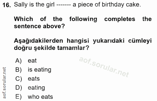 16. soru: Sally is the girl -- a piece of birthday cake. Which of the following completes the sentence above? Aşağıdakilerden h…