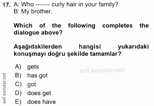 17. soru: A: Who -..- curly hair in your family? B: My brother. Which of the following completes the dialogue above? Aşağıdakil…