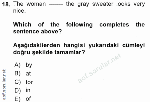 18. soru: The woman -- the gray sweater looks very nice. Which of the following completes the sentence above? Aşağıdakilerden h…