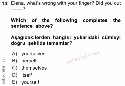 14. soru: Elena, what's wrong with your finger? Did you cut Which of the following completes the sentence above? Aşağıdakilerde…