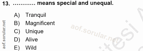 13. soru: ........... means special and unequal. A) Tranquil B) Magnificent C) Unique aof.sorular.n D) Alive E) Wild