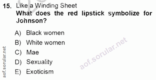 15. soru: Like a Winding Sheet What does the red lipstick symbolize for Johnson? A) Black women B) White women orular.net C) Ma…