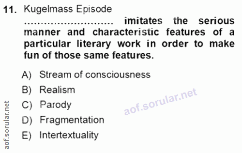 11. soru: Kugelmass Episode imitates the serious manner and characteristic features of a particular literary work in order to m…