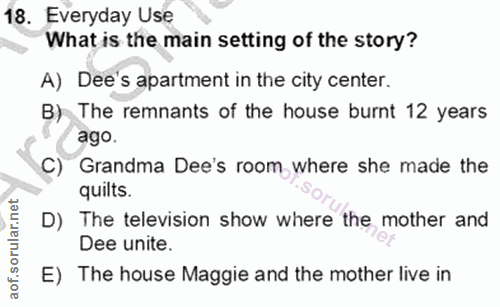 18. soru: Everyday Use What is the main setting of the story? A) Dee's apartment in the city center. B) The remnants of the hou…