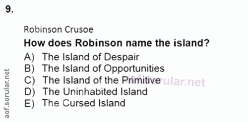 9. soru: Robinson Crusoe How does Robinson name the island? A) The Island of Despair B) The Island of Opportunities C) The Isl…
