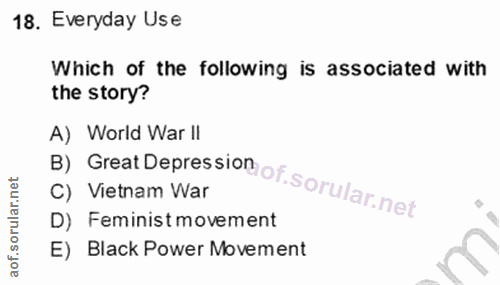 18. soru: Everyday Use Which of the following is associated with the story? B) Great Depression of. A) World War Il C) Vietnam…