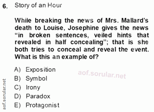 6. soru: Story of an Hour While breaking the news of Mrs. Mallard's death to Louise, Josephine gives the news "in broken sente…