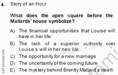 4. soru: Story of an Hour What does the open square before the Mallards' house symbolize? A) The financial opportunities that…